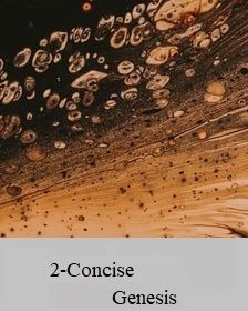 2-Concise Genesis